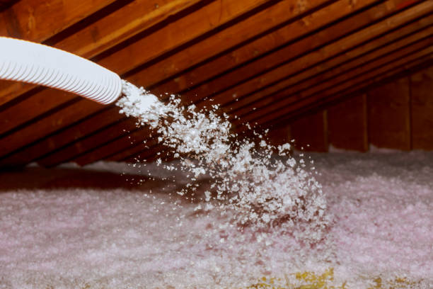 Best Blown-in Insulation in Eclectic, AL