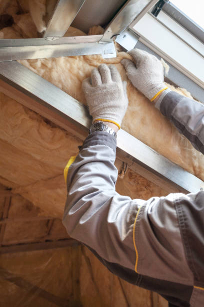 Best Geographic-Specific Insulation Services in Eclectic, AL